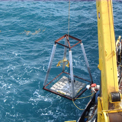 pr6pic2.jpg