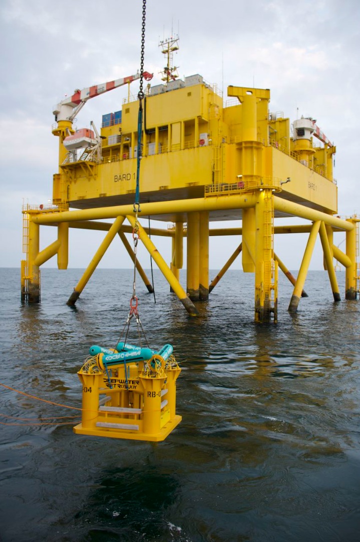 Vert BARD web _2969 copy.jpg