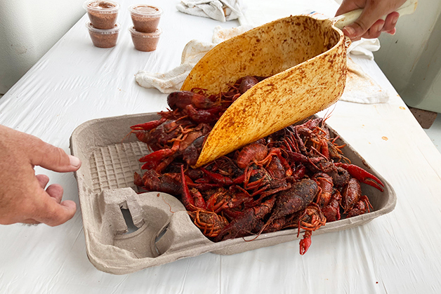2025 Crawfish Web 31